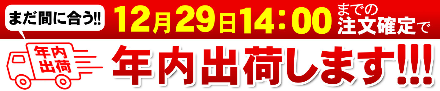 年内出荷します！